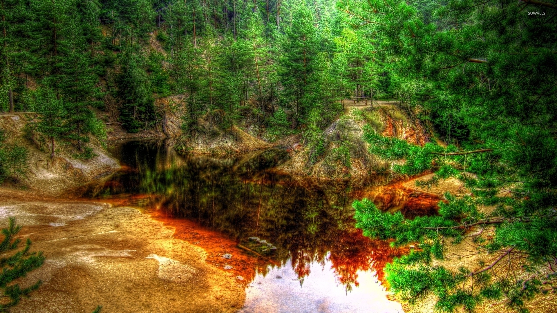 Rusty lake in the green forest wallpaper - Nature wallpapers - #36815