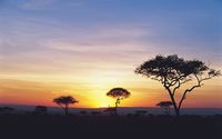 Safari sunset wallpaper 2560x1600 jpg