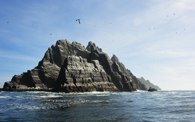 Seagulls over the island wallpaper