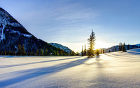 Serene snow wallpaper 2560x1600 jpg