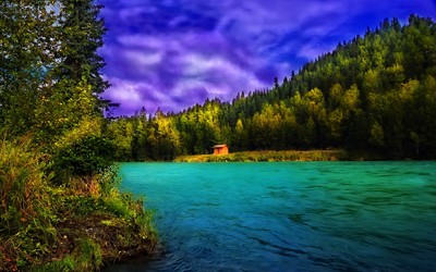 Small hut in the forest by the lake wallpaper