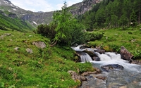 Small waterfall on the mountain river wallpaper 1920x1200 jpg