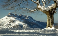 Snow on rocky mountains [2] wallpaper 1920x1200 jpg
