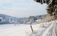 Snowy forest near the town wallpaper 2560x1600 jpg