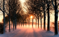Snowy path towards the orange sunset wallpaper 1920x1080 jpg