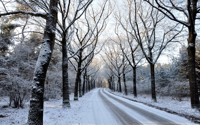 Snowy road through the forest wallpaper