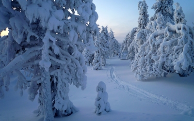 Snowy tree statues in the forest wallpaper