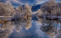 Snowy trees reflecting in the mountain lake wallpaper 1920x1200 jpg