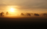 Sun above the foggy trees wallpaper 2560x1600 jpg