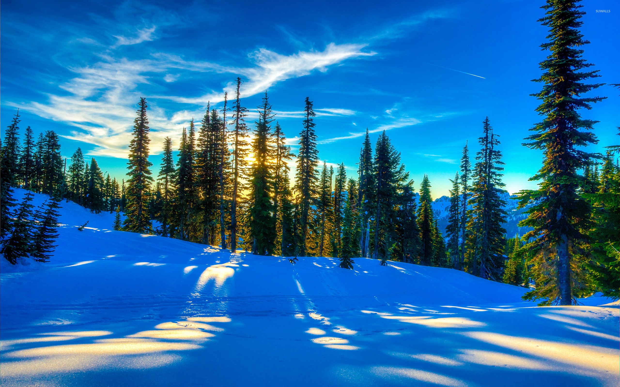 Sunlight reflecting in the snow wallpaper - Nature wallpapers - #48019