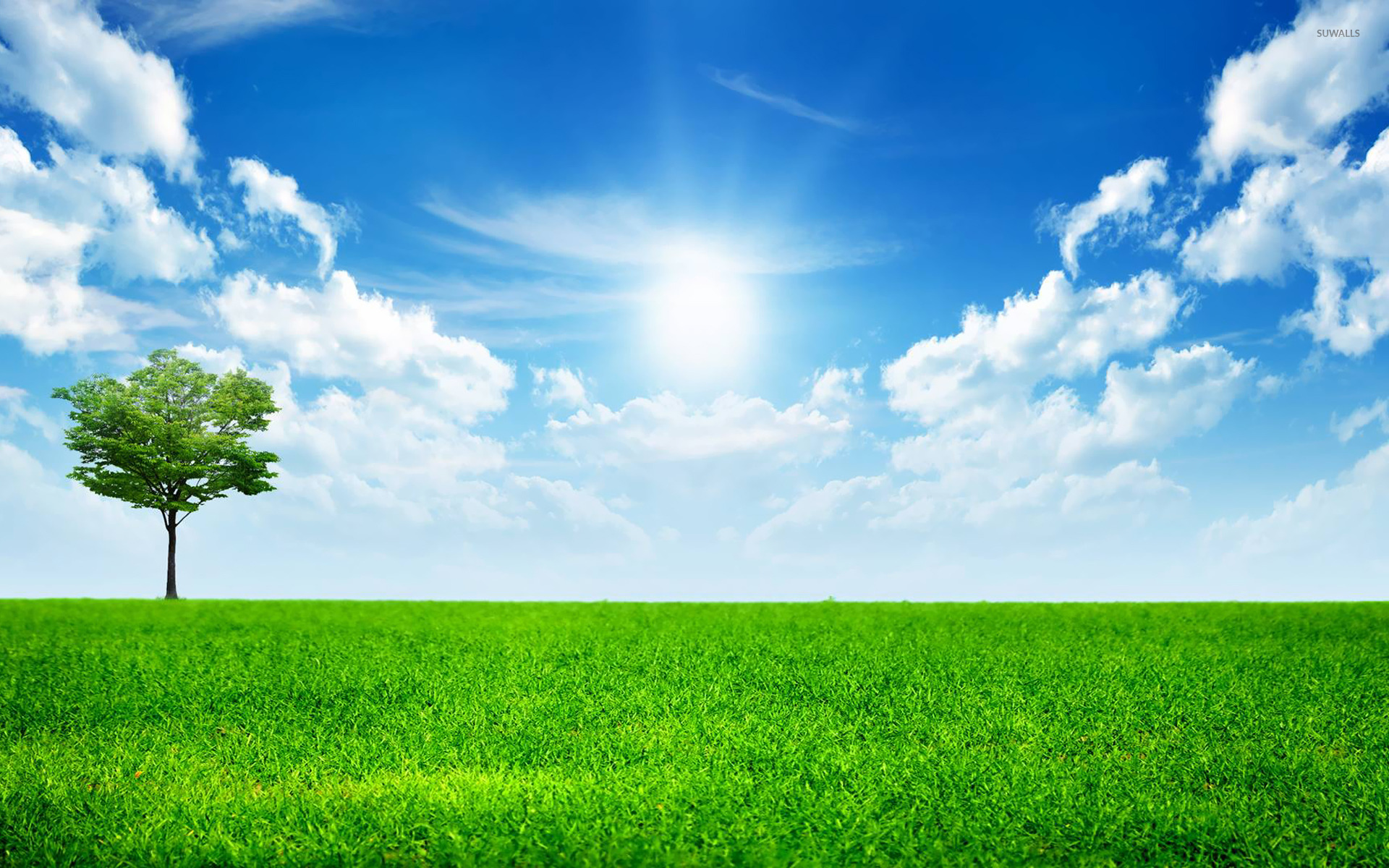 Sunny Blue Sky Wallpaper Nature Wallpapers 14782