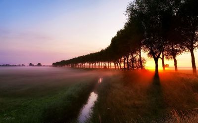Sunset at the foggy field wallpaper