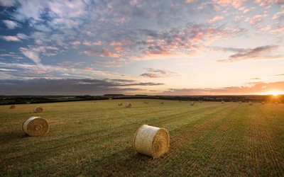 Sunset over the hay bales wallpaper