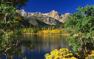 Toiyabe National Forest wallpaper