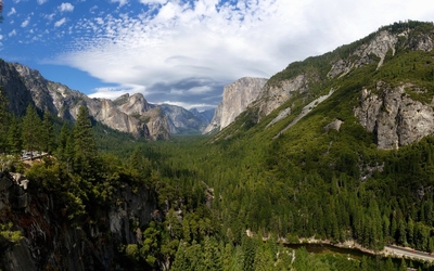 Top view of Yosemite National Park wallpaper