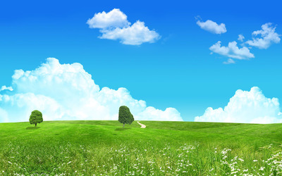 Trees in the meadow wallpaper