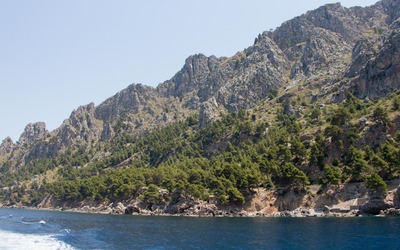 Trees on the rocky northern coast of Majorca Wallpaper