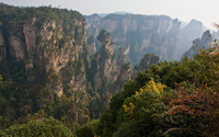 Trees on top of the rocky cliffs wallpaper 1920x1200 jpg