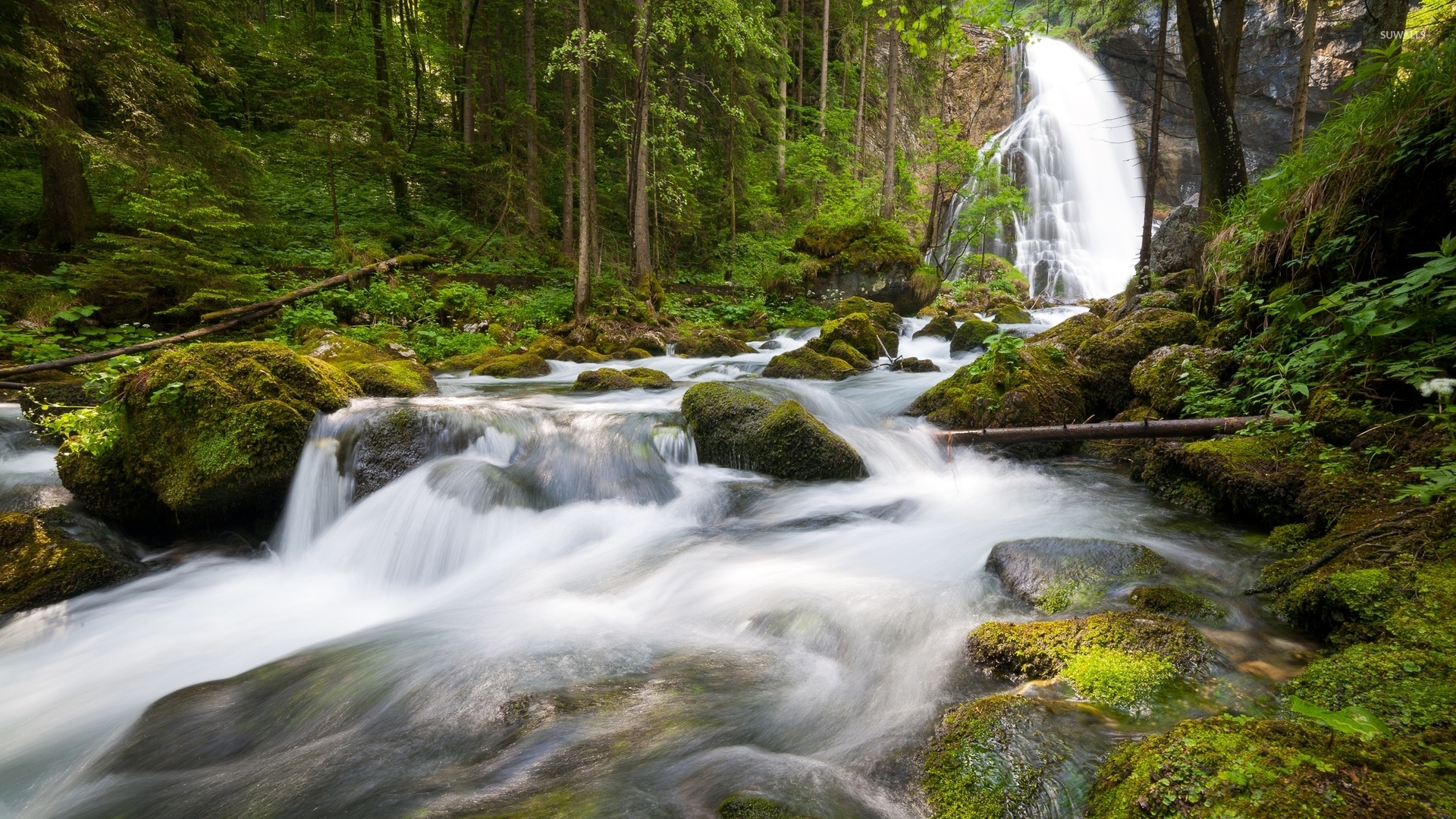 Waterfall On Mossy Rocks In The Forest Wallpaper Nature Wallpapers