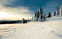 Winter landscape [2] wallpaper 1920x1200 jpg