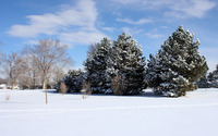 Winter landscape [12] wallpaper 1920x1200 jpg