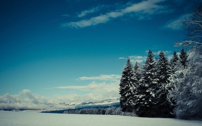 Winter landscape [9] wallpaper