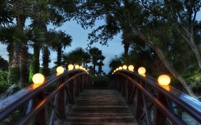 Wooden bridge in the garden wallpaper