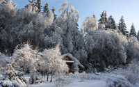 Wooden hut in the snowy forest [2] wallpaper 3840x2160 jpg