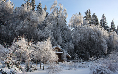 Wooden hut in the snowy forest [2] wallpaper