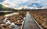 Wooden path through the water wallpaper 2560x1440 jpg