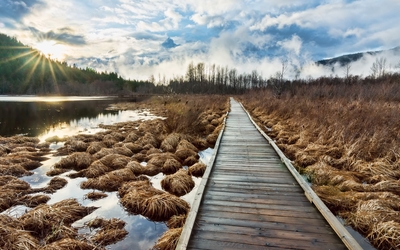 Wooden path through the water wallpaper
