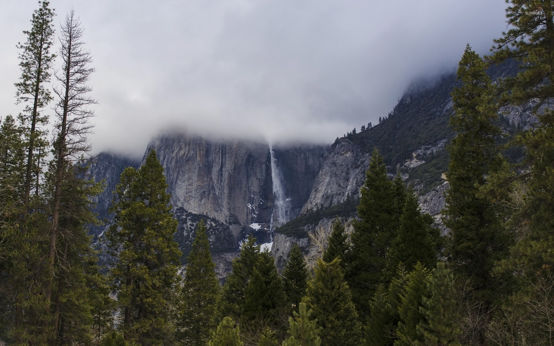 Yosemite Falls [8] wallpaper - Nature wallpapers - #35137