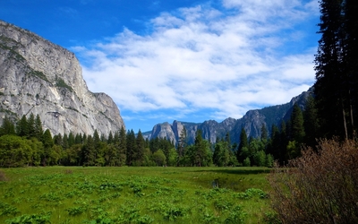 Yosemite National Park [15] Wallpaper