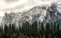 Yosemite National Park [16] wallpaper 2560x1600 jpg