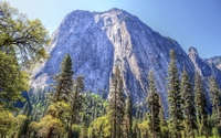 Yosemite National Park [20] wallpaper 1920x1200 jpg