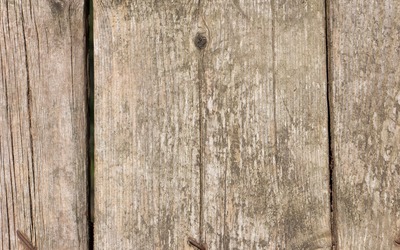 Aged wood wallpaper - Photography wallpapers - #48294