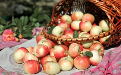 Apples in a basket wallpaper