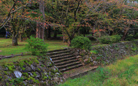 Autumn forest park wallpaper 3840x2160 jpg