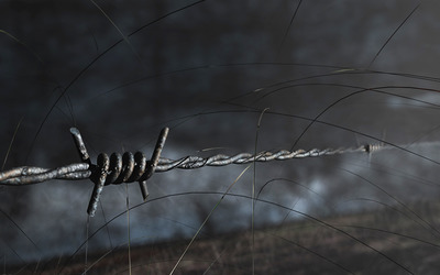 Barbed wire wallpaper