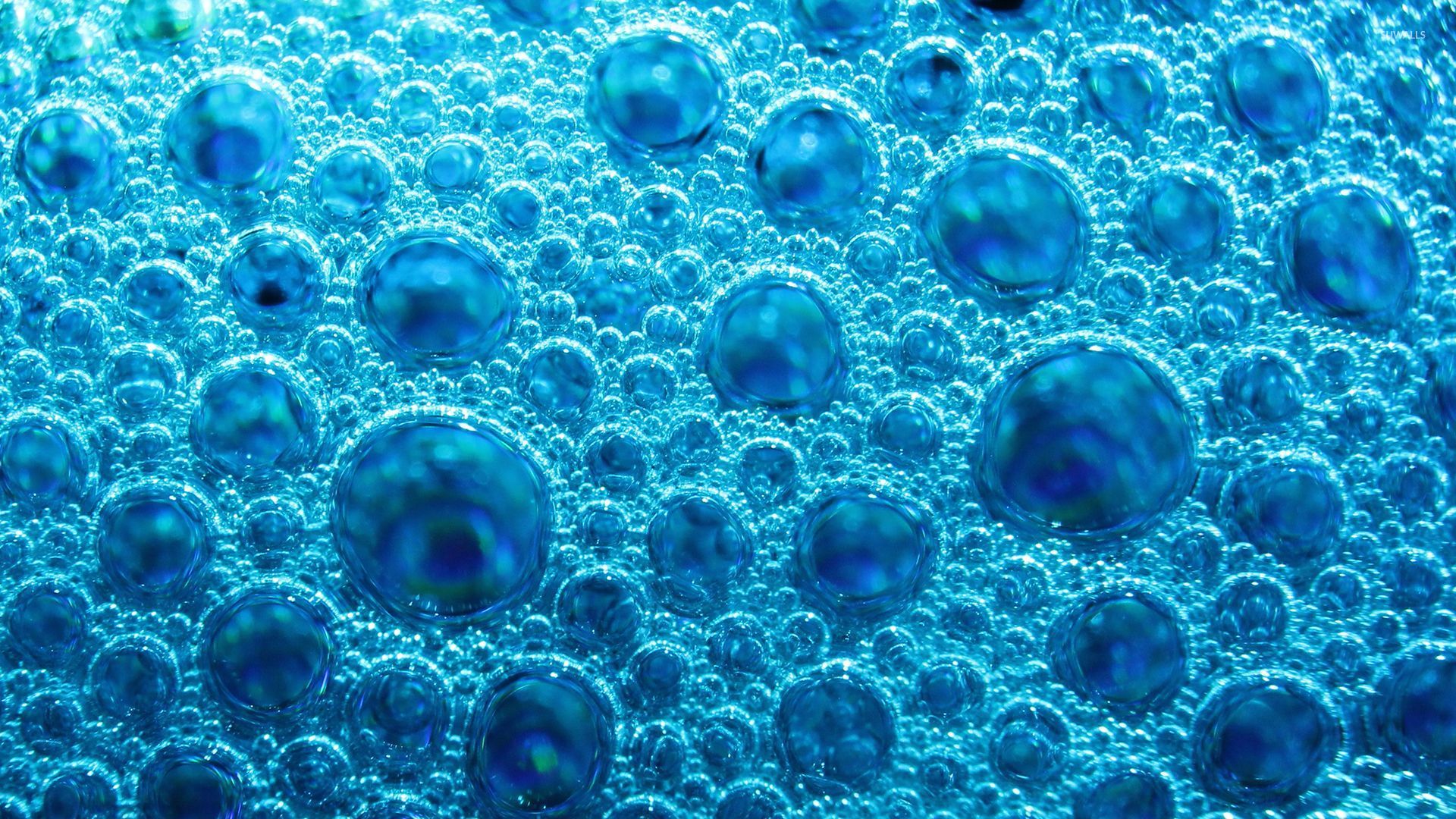 Blue soap bubbles wallpaper - Photography wallpapers - #48049