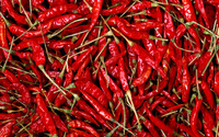 Chili peppers wallpaper 2560x1600 jpg