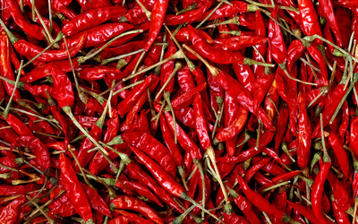 Chili peppers wallpaper