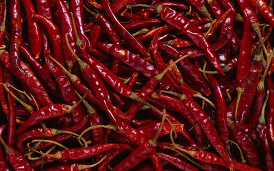 Chili peppers [2] wallpaper