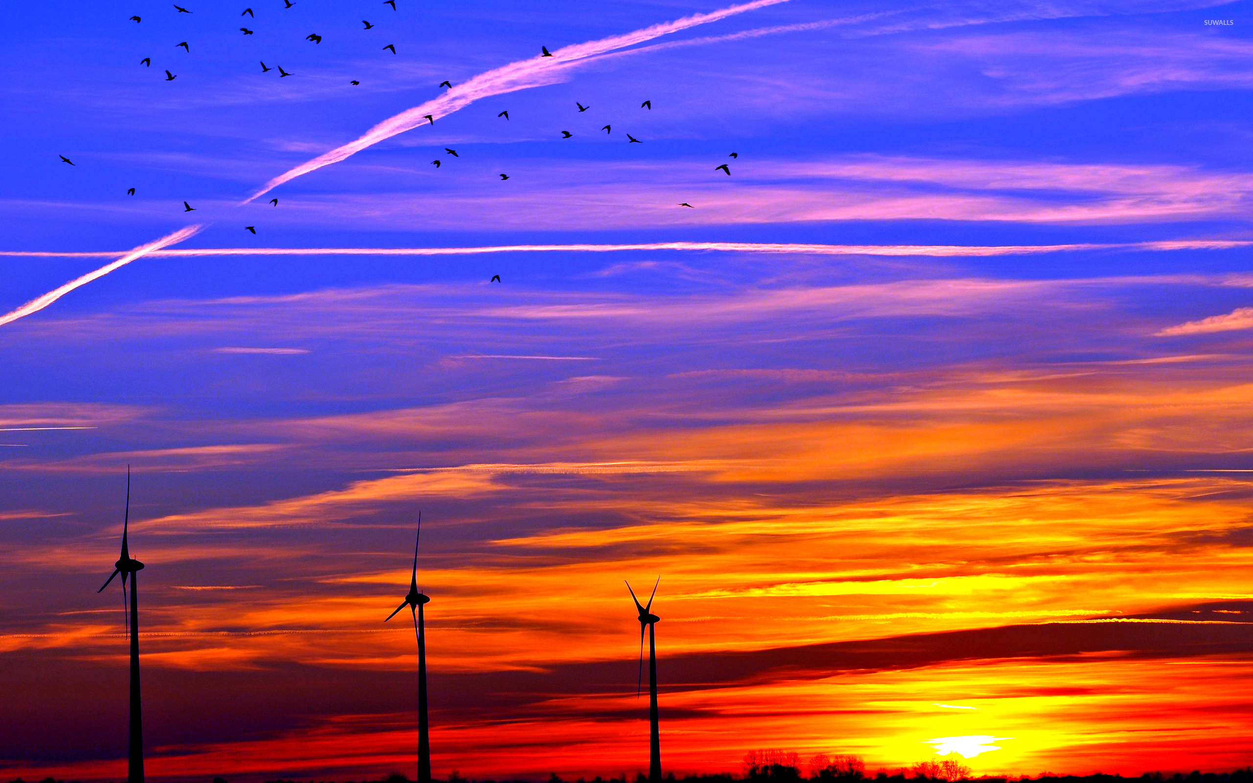 Colorful sunset over the wind turbines wallpaper - Photography