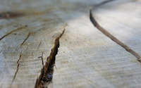 Cracked wood wallpaper 3840x2160 jpg
