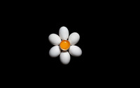 Eggs in the shape of a daisy wallpaper 1920x1200 jpg