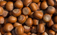 Freshly picked hazelnuts wallpaper 2880x1800 jpg