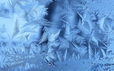 Frost Wallpaper