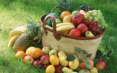 Fruit basket wallpaper