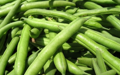 Green beans wallpaper